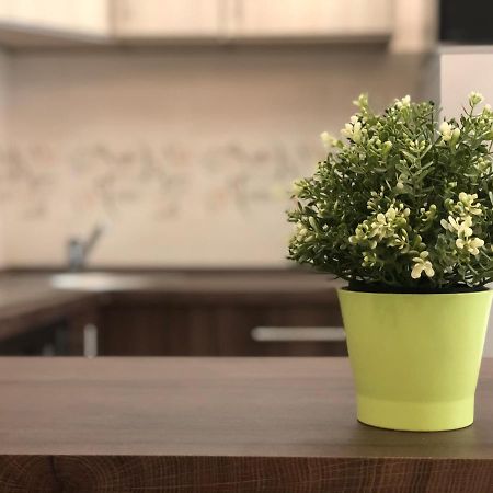 Exclusive Home - D. Apartman Pécs Eksteriør bilde