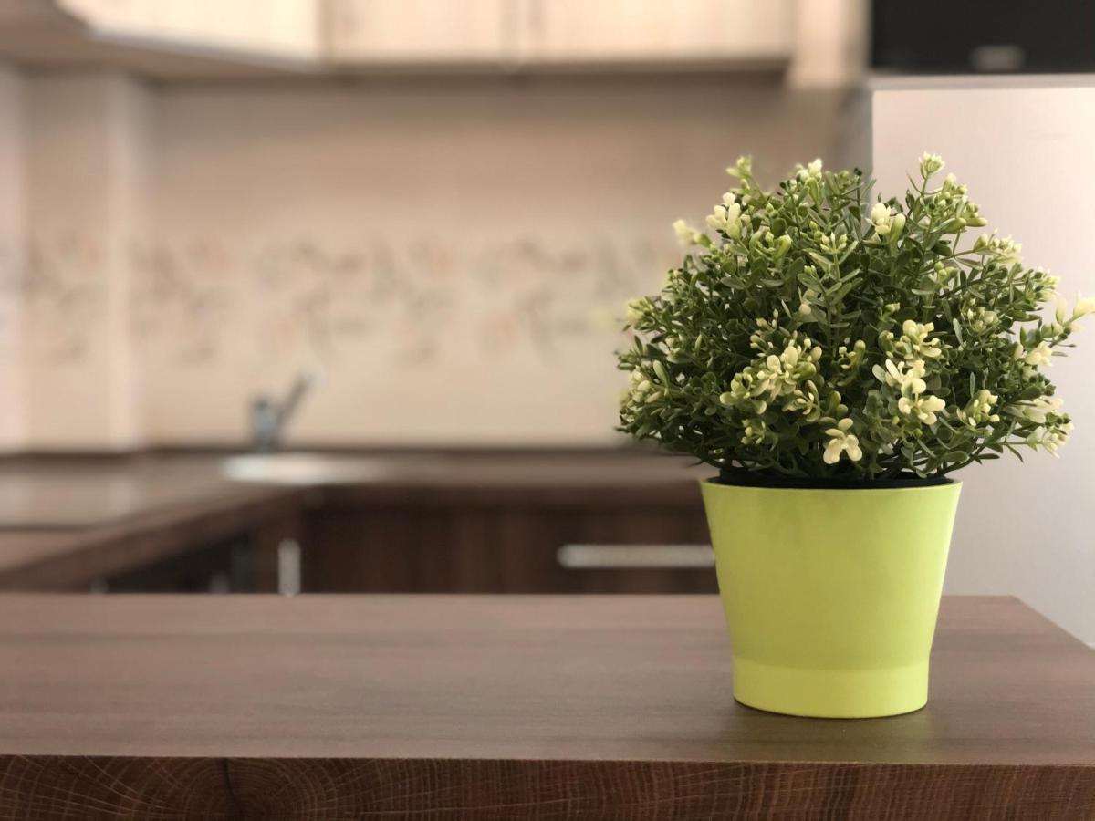 Exclusive Home - D. Apartman Pécs Eksteriør bilde